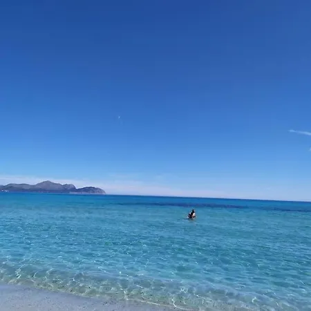 Apartamento A 2 Minutos De La Playa. Lägenhet Can Picafort (Mallorca)
